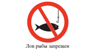 Зимовальные ямы Зимовальные ямы