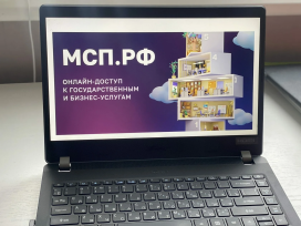 Цифровая платформа МСП.РФ – государственная поддержка бизнеса Цифровая платформа МСП.РФ – государственная поддержка бизнеса