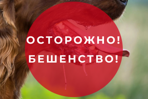 Вниманию жителей города Евпатория! Вниманию жителей города Евпатория!