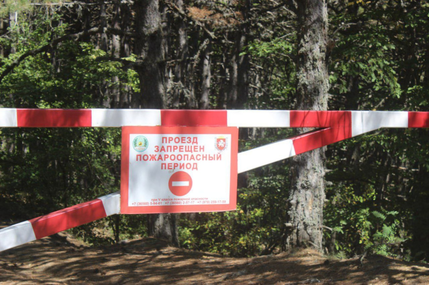 В Крыму продлено ограничение на посещение лесов