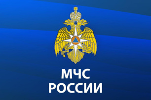 МЧС информирует о проведении сезонной надзорно-профилактической операции «Новый год» МЧС информирует о проведении сезонной надзорно-профилактической операции «Новый год»