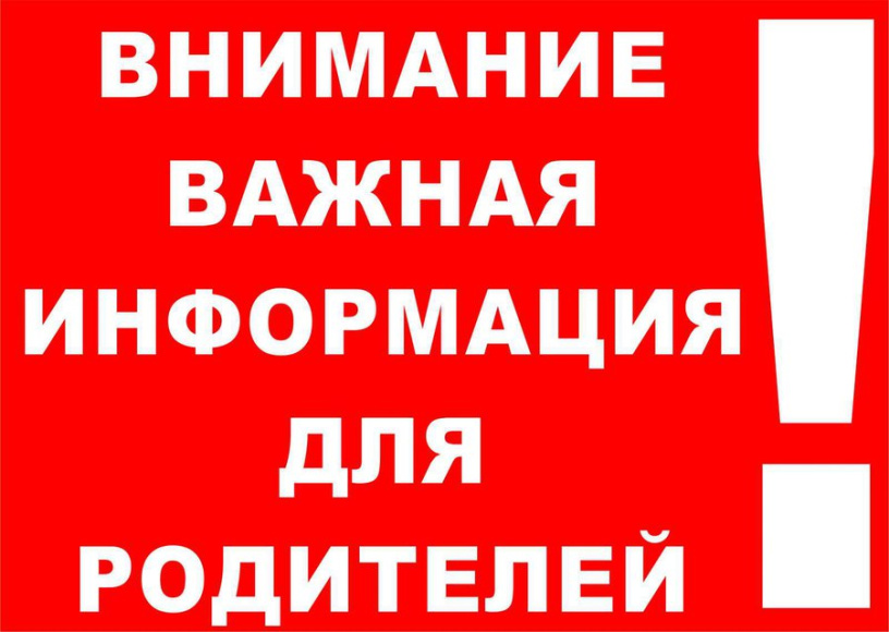 Напоминаем о недопущении пользования несовершеннолетними пневматическим и другими видами оружия 