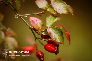 Со среды в Крыму установится сухая теплая погода Со среды в Крыму установится сухая теплая погода