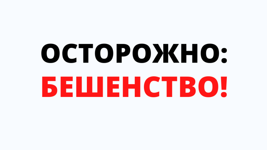 Меры по профилактике бешенства 