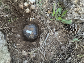 Полиция Евпатории пресекла попытку распространения особо крупной партии синтетического наркотика